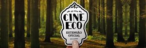 Cineeco, Extensão Serralves