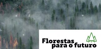 exp_florestas_futuro