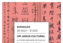 exp_janus_cultural_paco