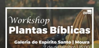 workshop_plantas_biblicas