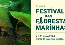 festival_florestas_marinhas